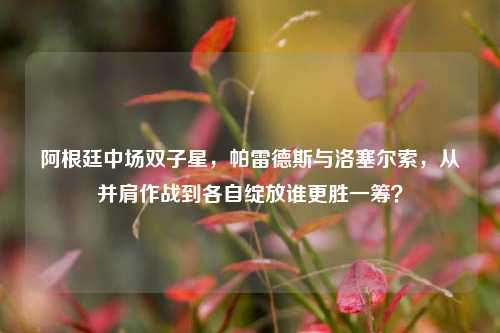 阿根廷中场双子星，帕雷德斯与洛塞尔索，从并肩作战到各自绽放谁更胜一筹？