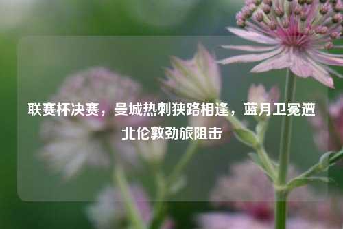 联赛杯决赛，曼城热刺狭路相逢，蓝月卫冕遭北伦敦劲旅阻击