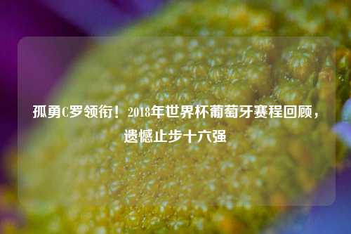 孤勇C罗领衔！2018年世界杯葡萄牙赛程回顾，遗憾止步十六强