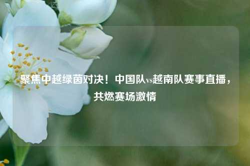 聚焦中越绿茵对决！中国队vs越南队赛事直播，共燃赛场     