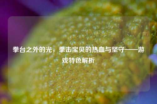 拳台之外的光，拳击宝贝的热血与坚守——游戏特色解析