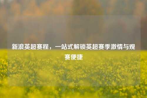 新浪英超赛程，一站式解锁英超赛季     与观赛便捷