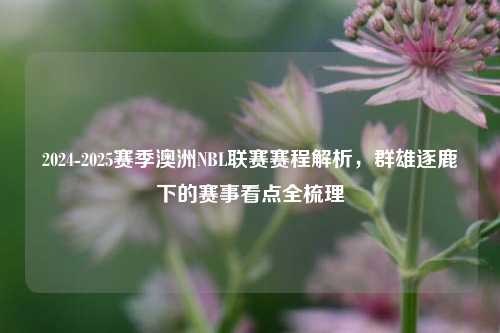 2024-2025赛季澳洲NBL联赛赛程解析，群雄逐鹿下的赛事看点全梳理
