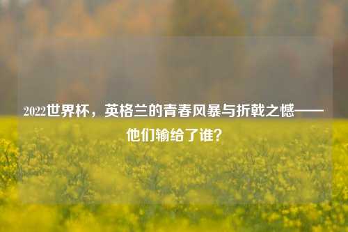 2022世界杯，英格兰的青春风暴与折戟之憾——他们输给了谁？