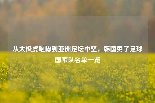 从太极虎咆哮到亚洲足坛中坚，韩国男子足球国家队名单一览