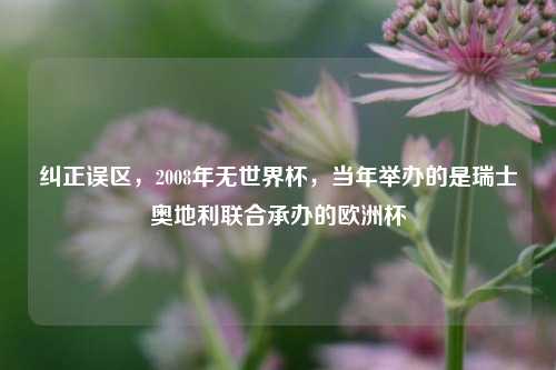 纠正误区，2008年无世界杯，当年举办的是瑞士奥地利联合承办的欧洲杯