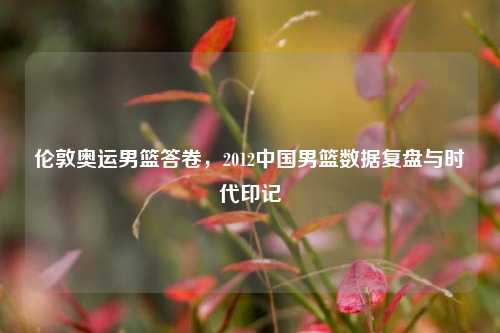 伦敦奥运男篮答卷,2012中国男篮数据复盘与时代印记