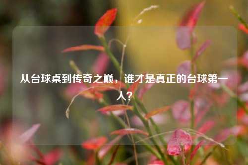 从台球桌到传奇之巅，谁才是真正的台球之一人？