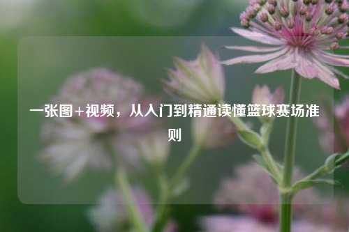 一张图+视频，从入门到精通读懂篮球赛场准则