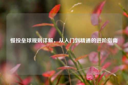 慢投垒球规则详解，从入门到精通的进阶指南