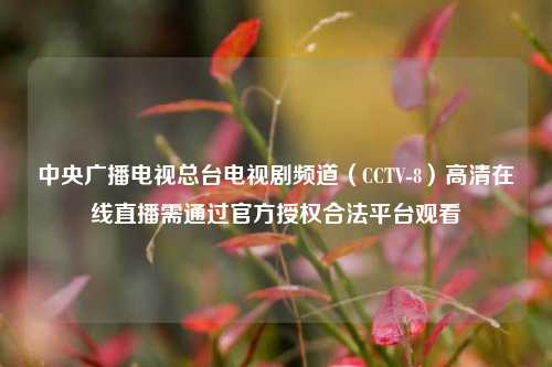 中央广播电视总台电视剧频道（CCTV-8）     直播需通过官方授权合法平台观看