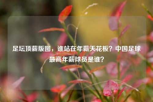 足坛顶薪版图，谁站在年薪天花板？中国足球更高年薪球员是谁？