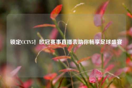 锁定CCTV5！欧冠赛事直播表助你畅享足球盛宴