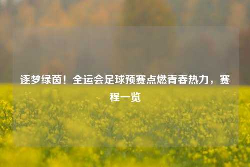 逐梦绿茵！全运会足球预赛点燃青春热力，赛程一览