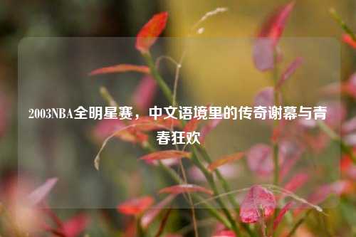 2003NBA全明星赛，中文语境里的传奇谢幕与青春狂欢