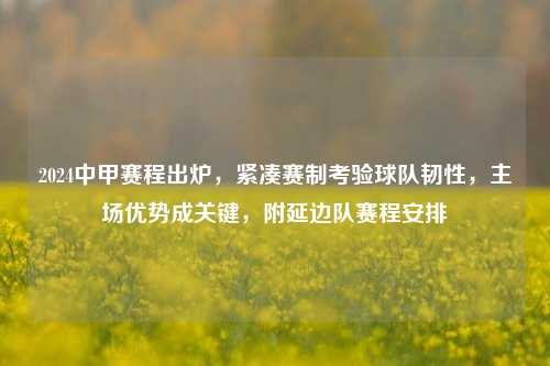 2024中甲赛程出炉,紧凑赛制考验球队韧性,主场优势成关键,附延边队赛程安排