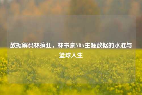 数据解码林疯狂，林书豪NBA生涯数据的水准与篮球人生