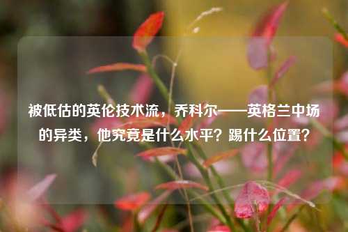 被低估的英伦技术流，乔科尔——英格兰中场的异类，他究竟是什么水平？踢什么位置？