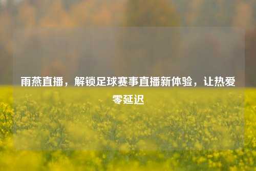 雨燕直播，解锁足球赛事直播新体验，让热爱零延迟