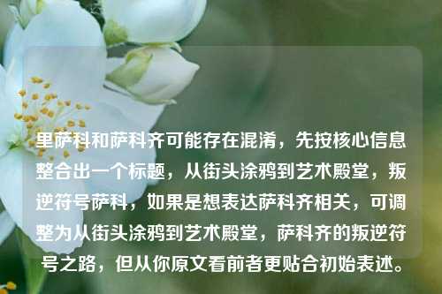 里萨科和萨科齐可能存在混淆，先按核心信息整合出一个标题，从街头涂鸦到艺术殿堂，叛逆符号萨科，如果是想表达萨科齐相关，可调整为从街头涂鸦到艺术殿堂，萨科齐的叛逆符号之路，但从你原文看前者更贴合初始表述。