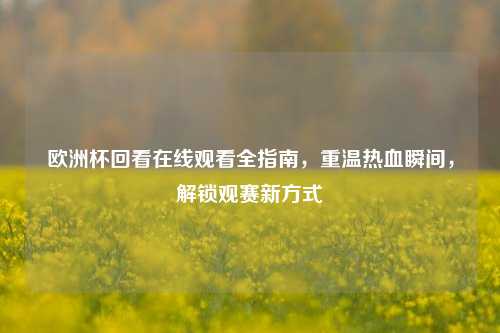 欧洲杯回看在线观看全指南，重温热血瞬间，解锁观赛新方式