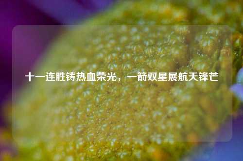 十一连胜铸热血荣光,一箭双星展航天锋芒
