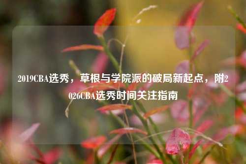 2019CBA选秀，草根与学院派的破局新起点，附2026CBA选秀时间关注指南