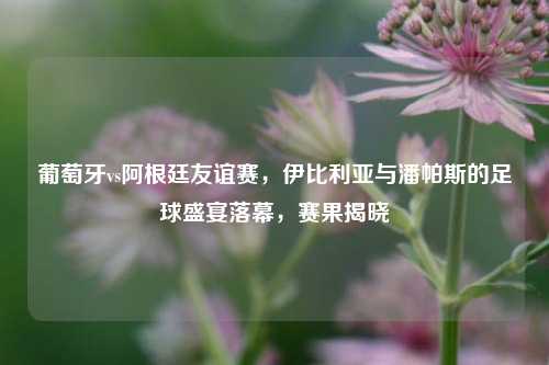 葡萄牙vs阿根廷友谊赛,伊比利亚与潘帕斯的足球盛宴落幕,赛果揭晓