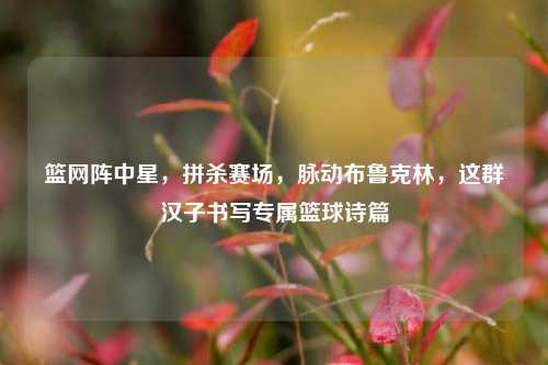 篮网阵中星,拼杀赛场,脉动布鲁克林,这群汉子书写专属篮球诗篇