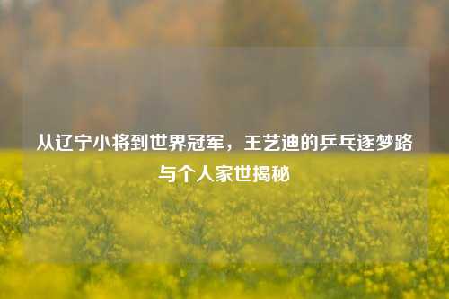 从辽宁小将到世界冠军，王艺迪的乒乓逐梦路与个人家世揭秘