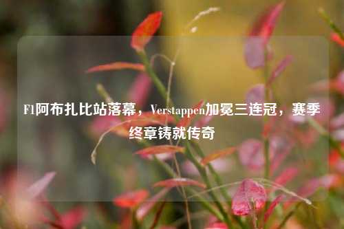 F1阿布扎比站落幕，Verstappen加冕三连冠，赛季终章铸就传奇