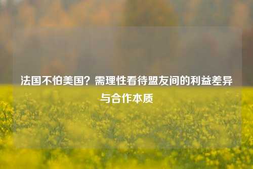 法国不怕美国？需理性看待盟友间的利益差异与合作本质
