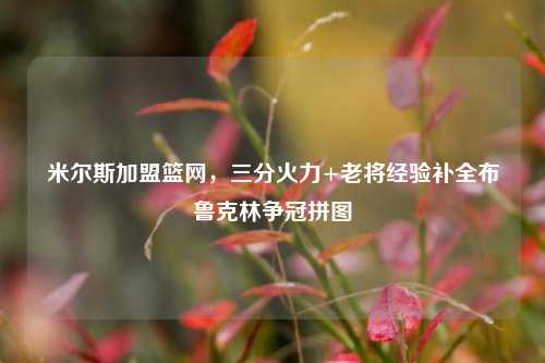 米尔斯加盟篮网，三分火力+老将经验补全布鲁克林争冠拼图