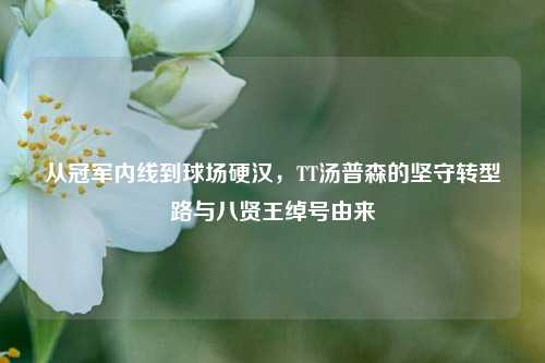 从冠军内线到球场硬汉，TT汤普森的坚守转型路与八贤王绰号由来