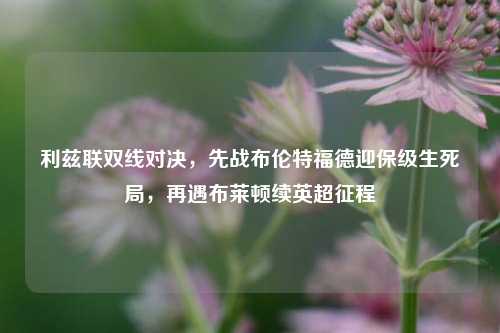 利兹联双线对决，先战布伦特福德迎保级生死局，再遇布莱顿续英超征程