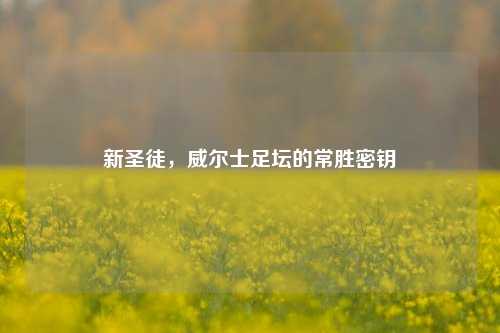 新圣徒，威尔士足坛的常胜密钥