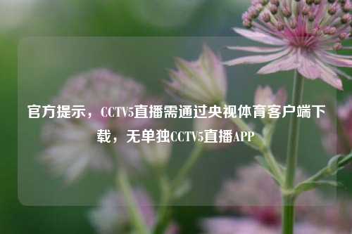 官方提示，CCTV5直播需通过央视体育客户端下载，无单独CCTV5直播APP