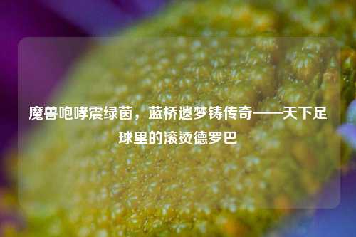 魔兽咆哮震绿茵，蓝桥遗梦铸传奇——天下足球里的滚烫德罗巴