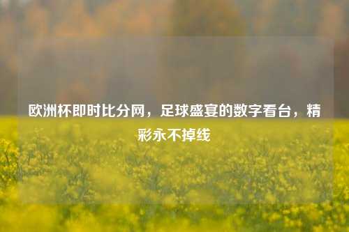 欧洲杯即时比分网，足球盛宴的数字看台，精彩永不掉线