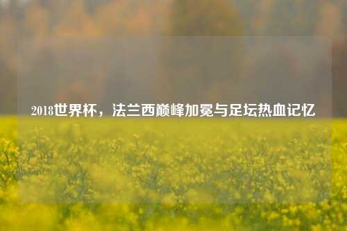 2018世界杯，法兰西巅峰加冕与足坛热血记忆