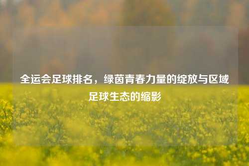 全运会足球排名，绿茵青春力量的绽放与区域足球生态的缩影