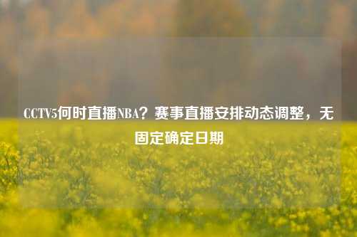 CCTV5何时直播NBA？赛事直播安排动态调整，无固定确定日期