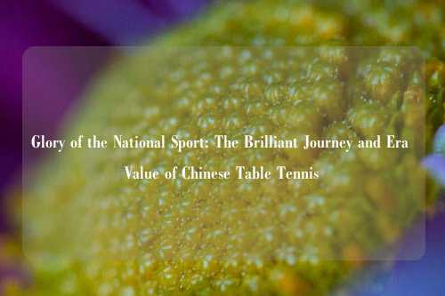 Glory of the National Sport: The Brilliant Journey and Era Value of Chinese Table Tennis