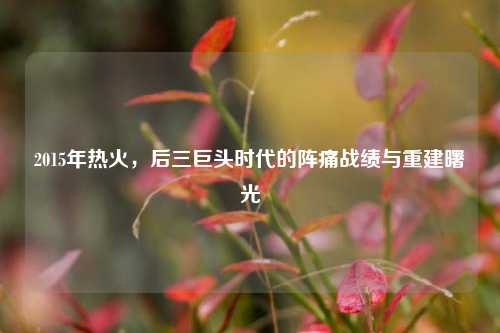2015年热火，后三巨头时代的阵痛战绩与重建曙光