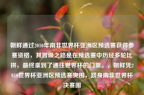 朝鲜通过2010年南非世界杯亚洲区预选赛获得参赛资格，其晋级之路是在预选赛中历经多轮比拼，最终拿到了通往世界杯的门票。，朝鲜凭2010世界杯亚洲区预选赛突围，跻身南非世界杯决赛圈