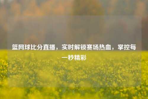 篮网球比分直播，实时解锁赛场热血，掌控每一秒精彩