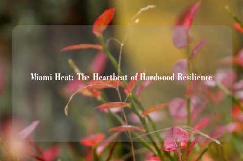 Miami Heat: The Heartbeat of Hardwood Resilience