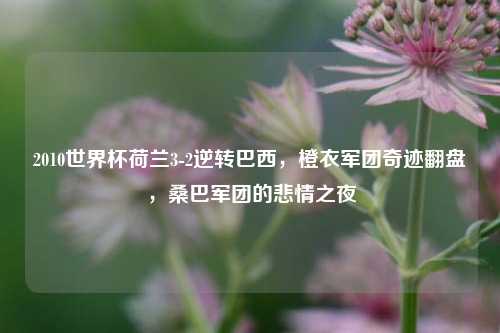2010世界杯荷兰3-2逆转巴西，橙衣军团奇迹翻盘，桑巴军团的悲情之夜