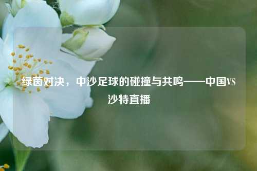 绿茵对决，中沙足球的碰撞与共鸣——中国VS沙特直播