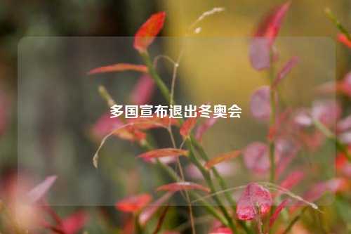 多国宣布退出冬奥会